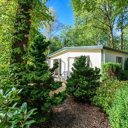 Luxe Familiehuis Veluwe 4-6 Persons Pool Kids Dog Hoenderloo Ngoại thất bức ảnh
