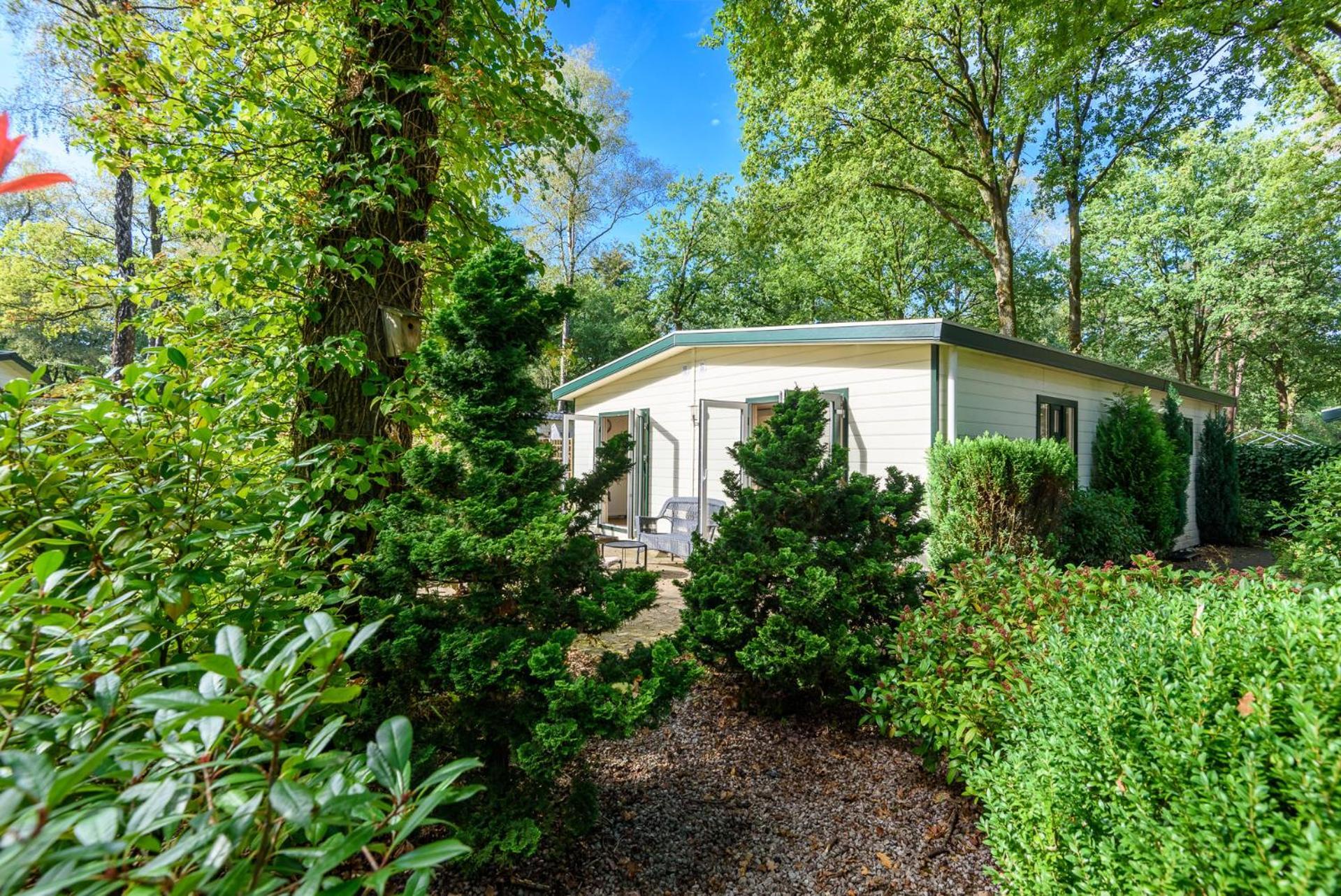 Luxe Familiehuis Veluwe 4-6 Persons Pool Kids Dog Hoenderloo Ngoại thất bức ảnh